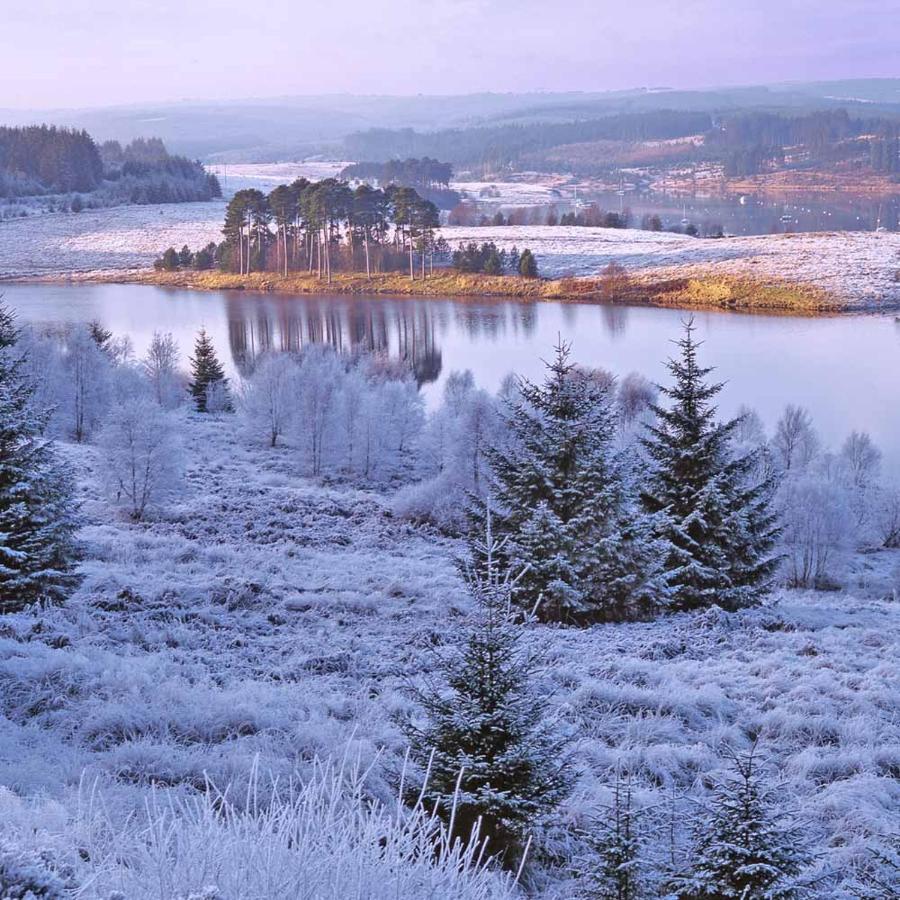 Grasmere Lodge - Bockenfield Country Park - Northumberland Felton  外观 照片
